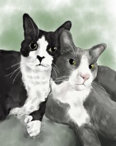 two tuxedo cats - watercolor pet portrait