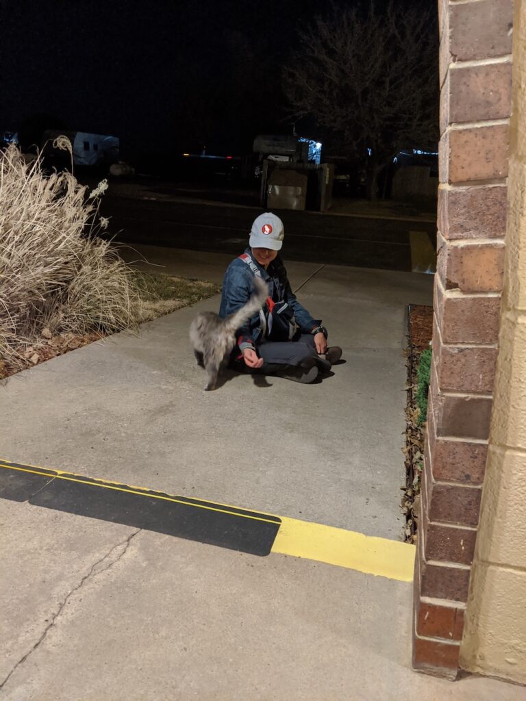 woman sitting on the ground petting a fluffy gray cat
