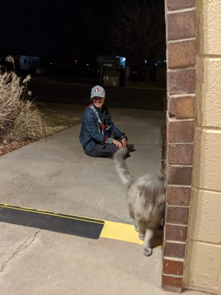 woman sitting on the ground petting a fluffy gray cat