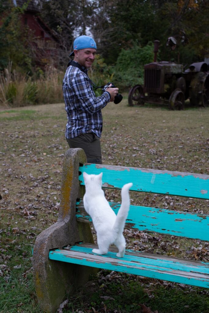 man in a backwards baseball cap petting a white cat