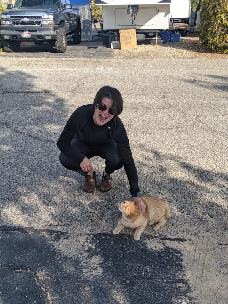 woman petting a happy ginger cat
