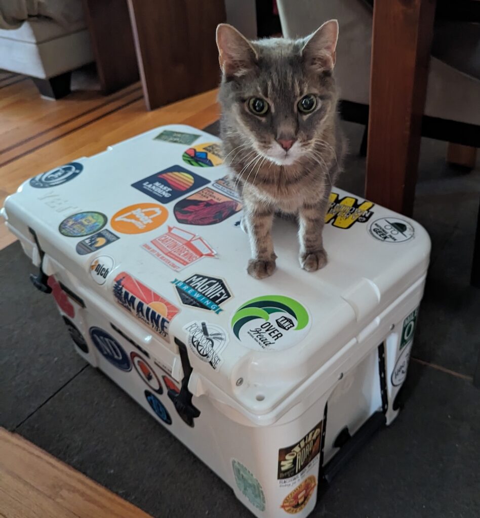 gray cat standing on a white cooler covered in stickers