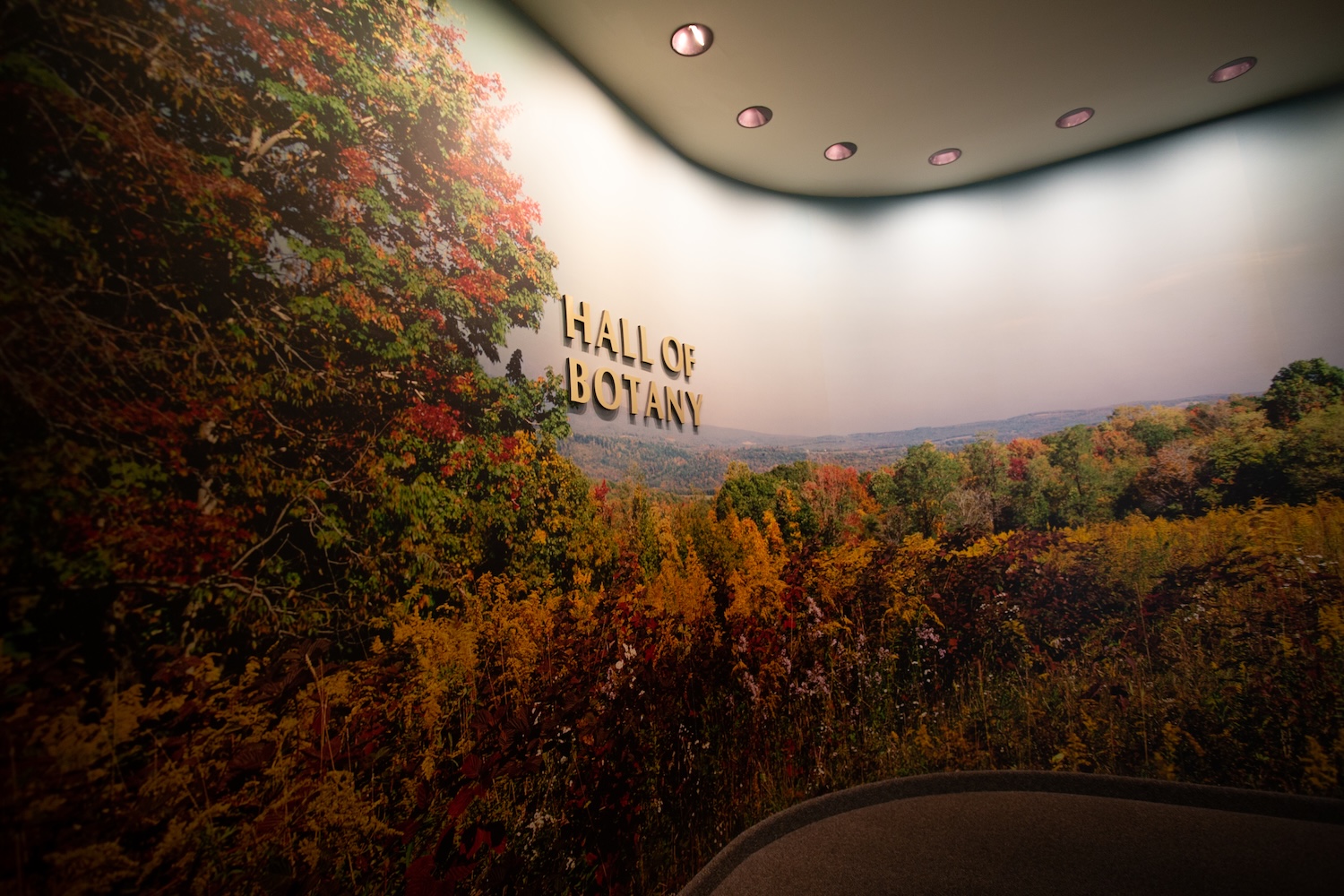 Hall of Botany at the Carnegie Museum of Natural History