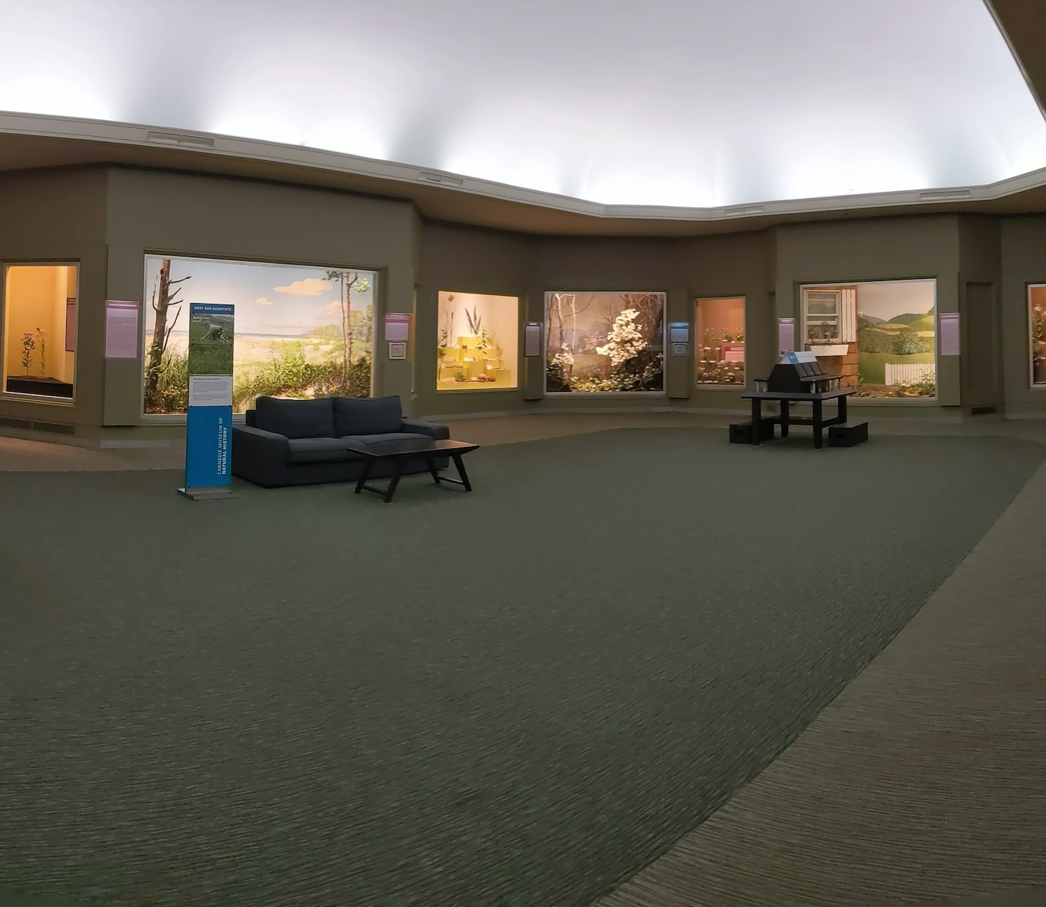 Hall of Botany at the Carnegie Museum of Natural History
