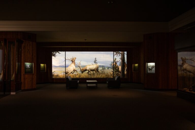 Carnegie Museum of Natural History elk diorama