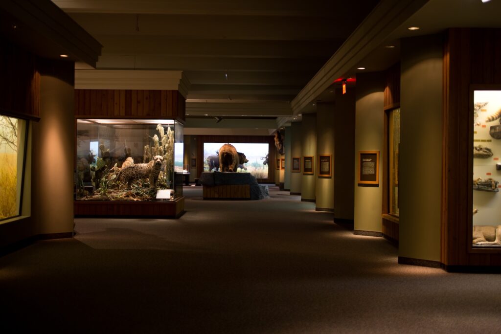 carnegie museum of natural history north american wildlife dioramas