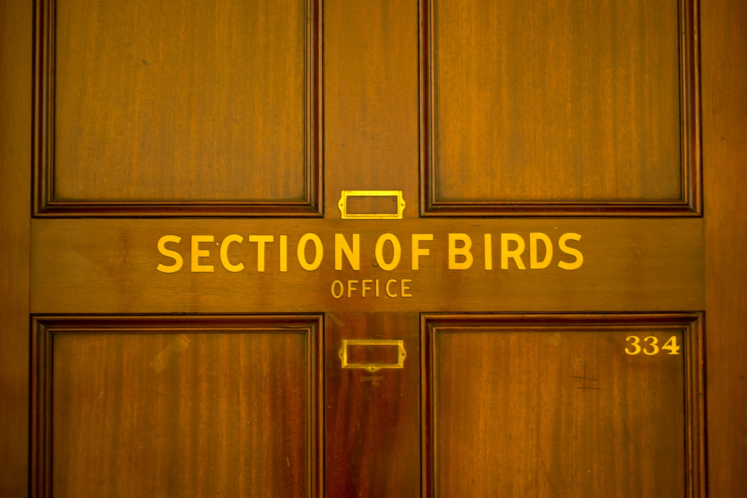 door reading Section of Birds Office