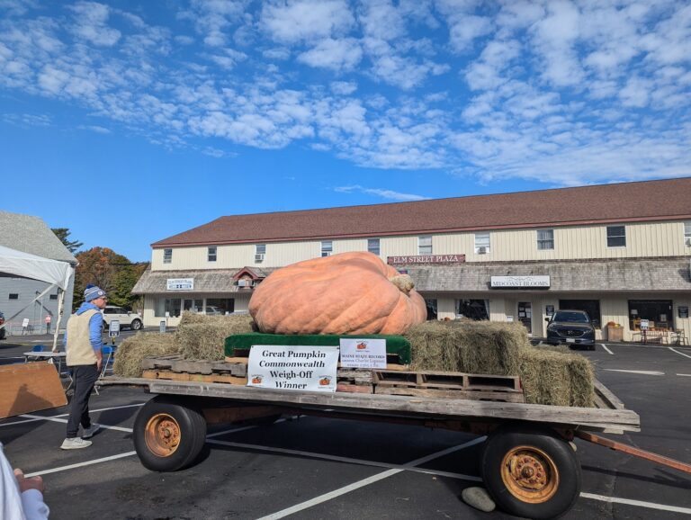 What to Expect at Damariscotta Pumpkinfest