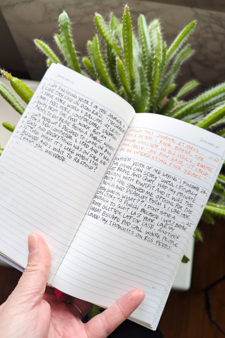 pages from a five-year diary
