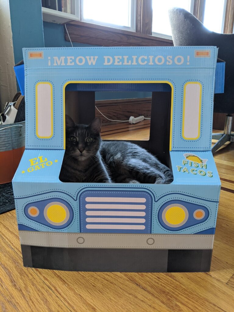 cat lounging in a cardboard taco truck