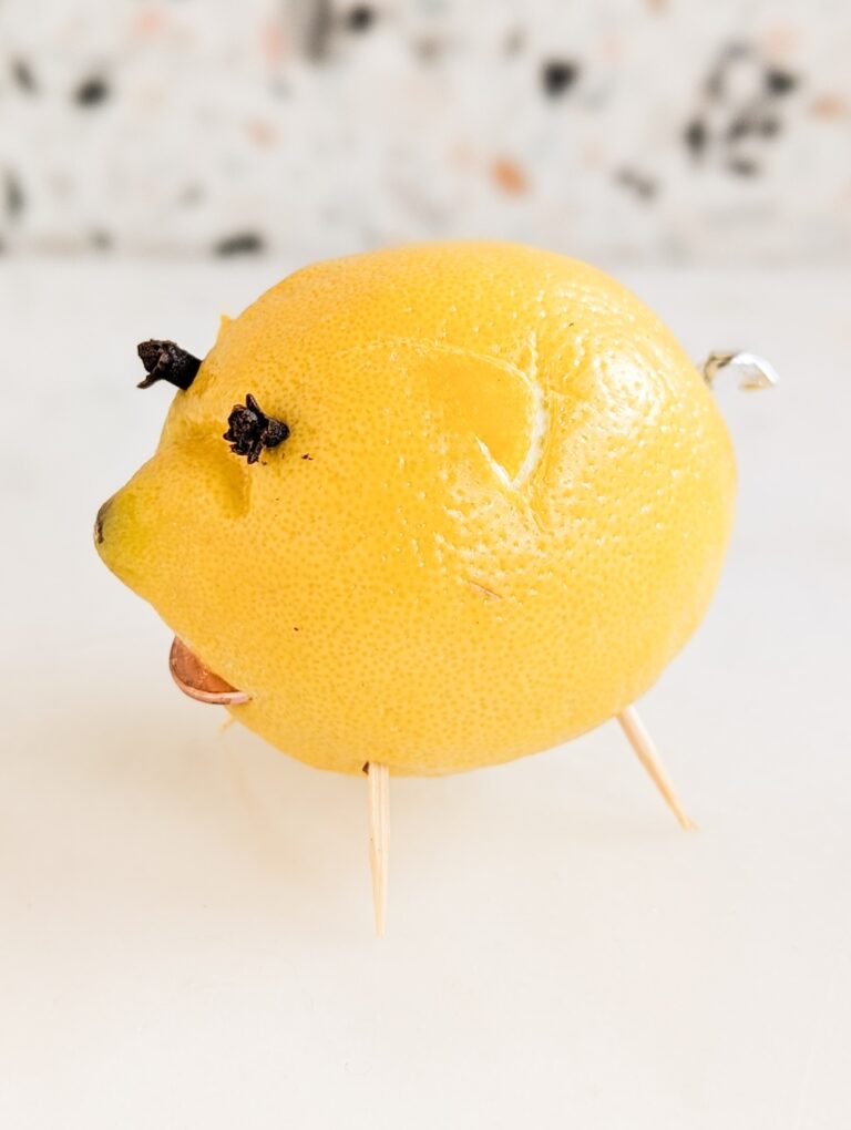 lemon pig made with cloves, a penny, and toothpicks