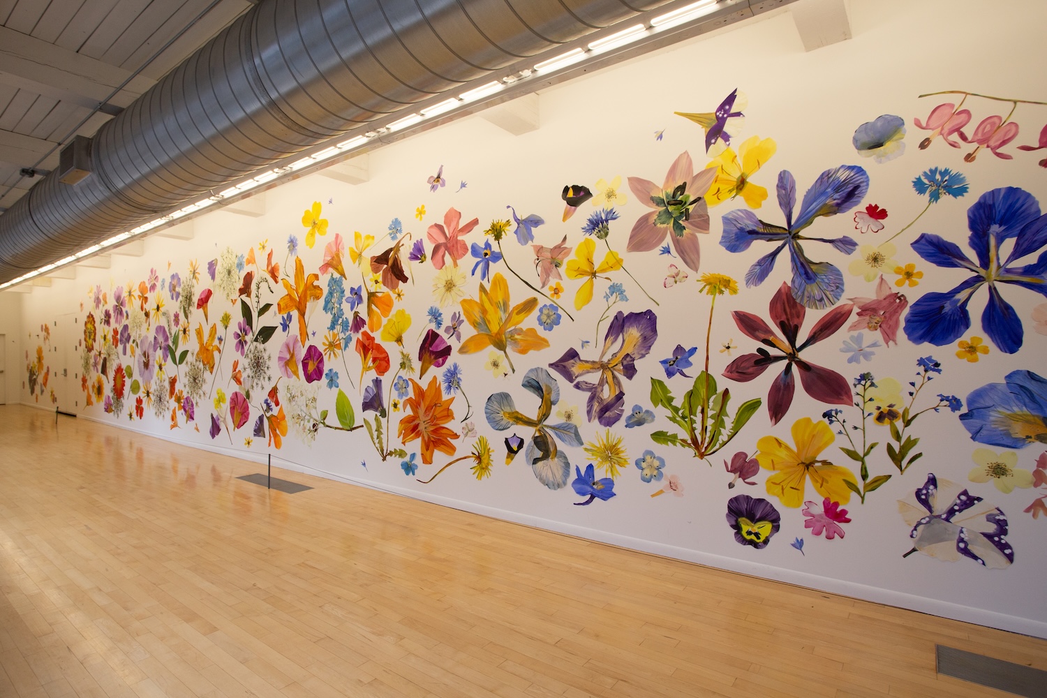 Carly Glovinski, Almanac at MASS MoCA