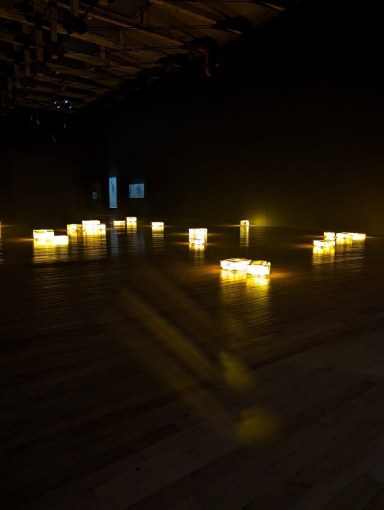 glowing boxes of Gelare Khoshgozaran's installation U.S. Customs Demands to Know